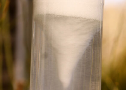 Experimentos Infantiles