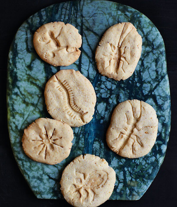 Galletas fósiles