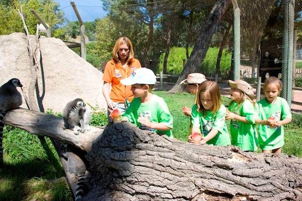 Campamentos de verano del Zoo Aquarium