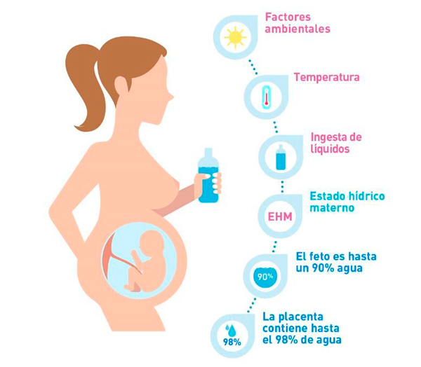 Embarazo Y Agua