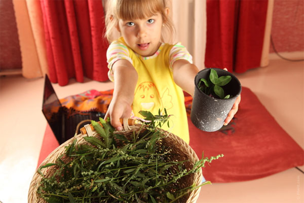 Huerto urbano: beneficios para niños