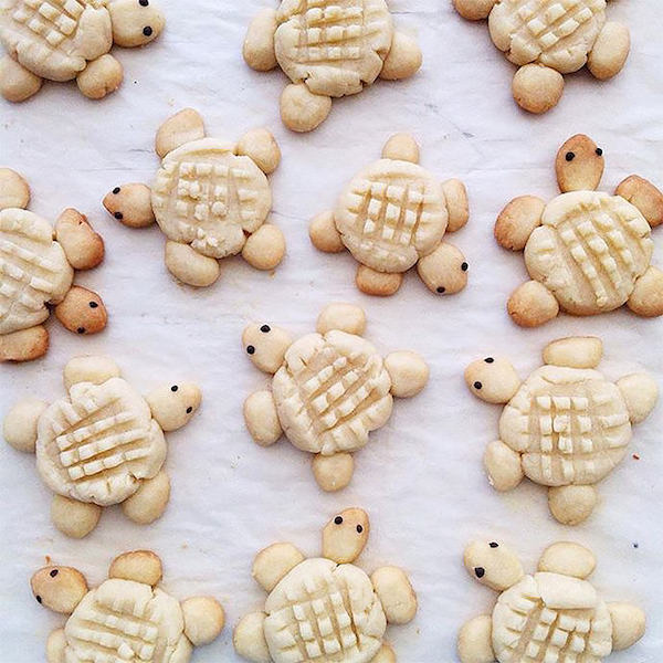 Galletas caseras