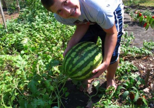 Idea Para Enseñar A Los Niños A Cuidar El Medioambiente