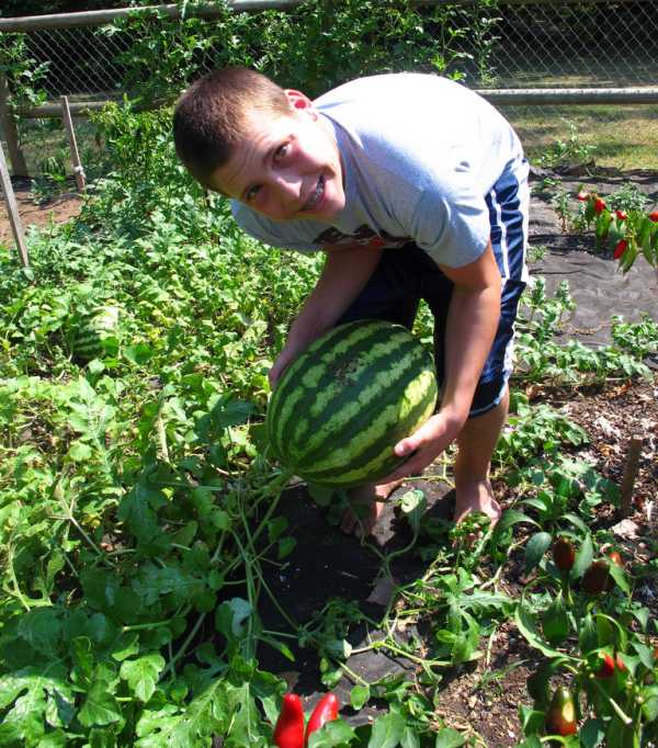 Idea para enseñar a los niños a cuidar el medioambiente