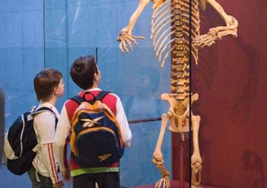 Actividad infantil en CosmoCaixa Barcelona