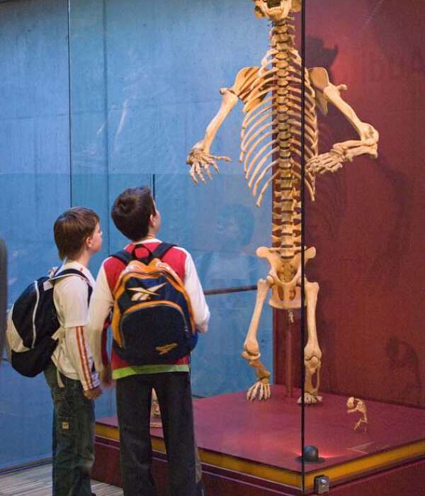 Actividad infantil en CosmoCaixa Barcelona