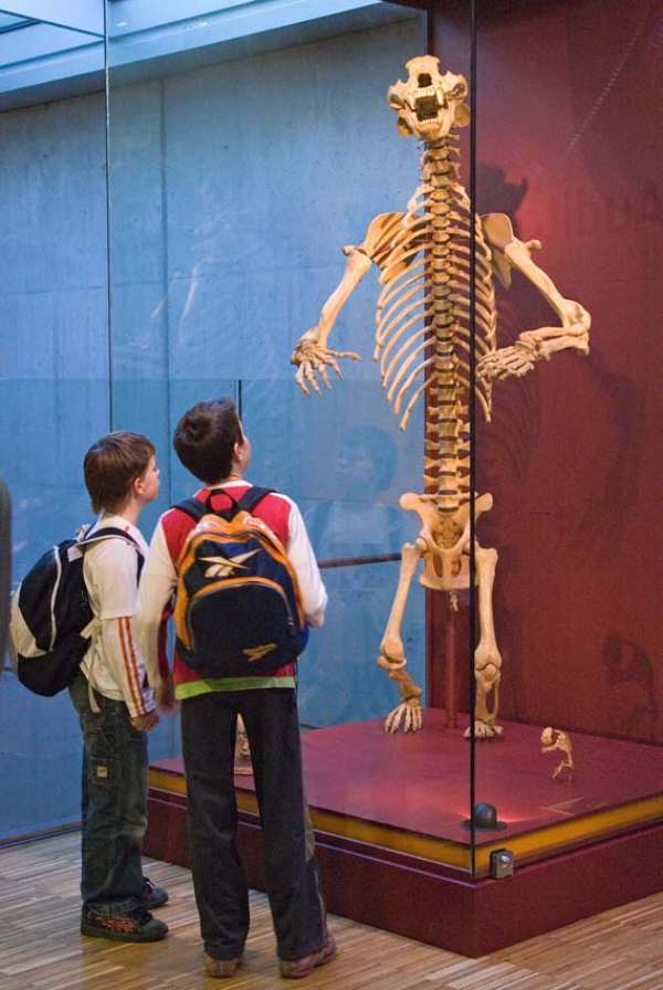 Actividad Infantil En Cosmocaixa Barcelona