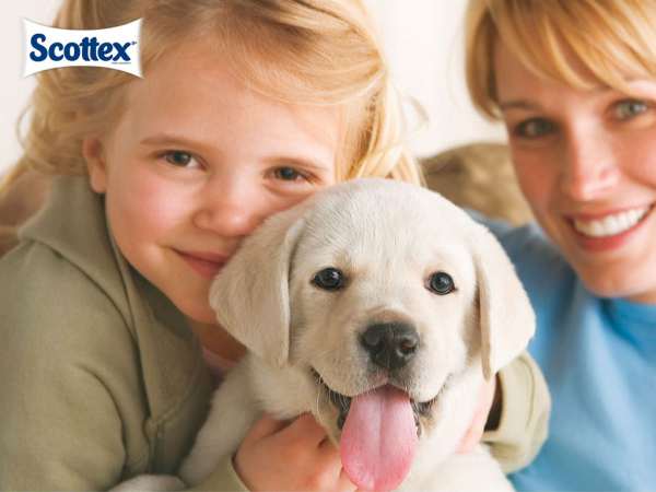 Higiene infantil Scottex