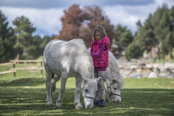 Andorra En Familia