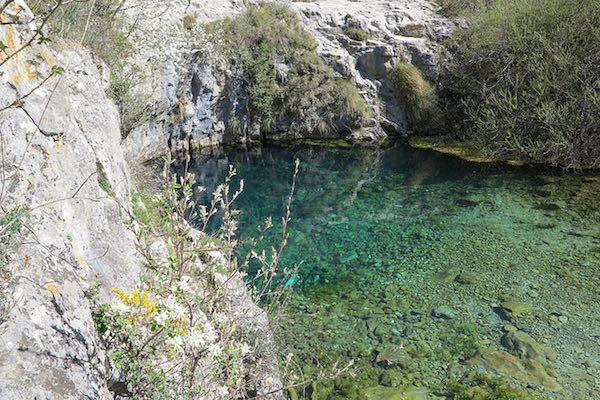 Excursiones Con Niños