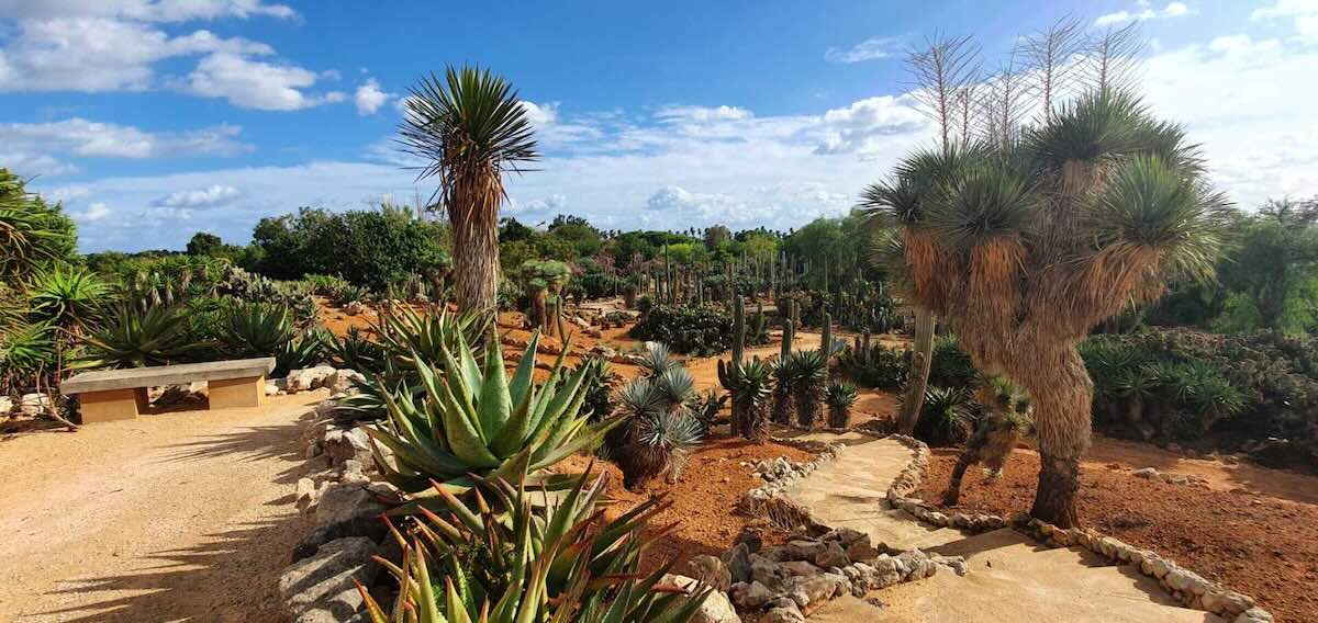 Actividades Con Niños En Mallorca