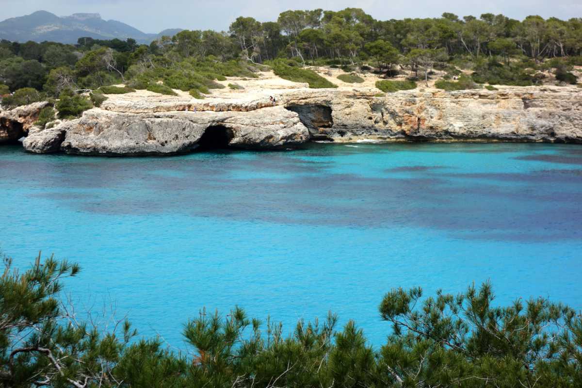 Planes Con Niños En Mallorca