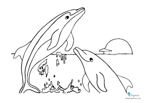 Dibujos De Delfines Para Colorear