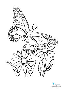 Mariposas Para Colorear