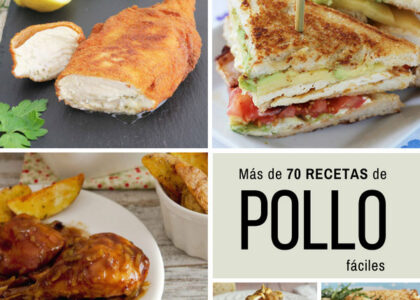 Recetas De Pollo