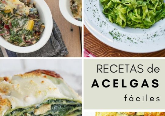 Recetas Con Acelgas
