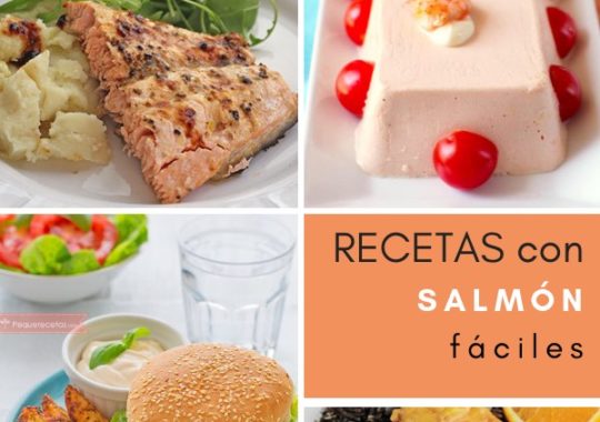 Recetas Con Salmón