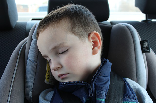 Niño Viaje En Coche