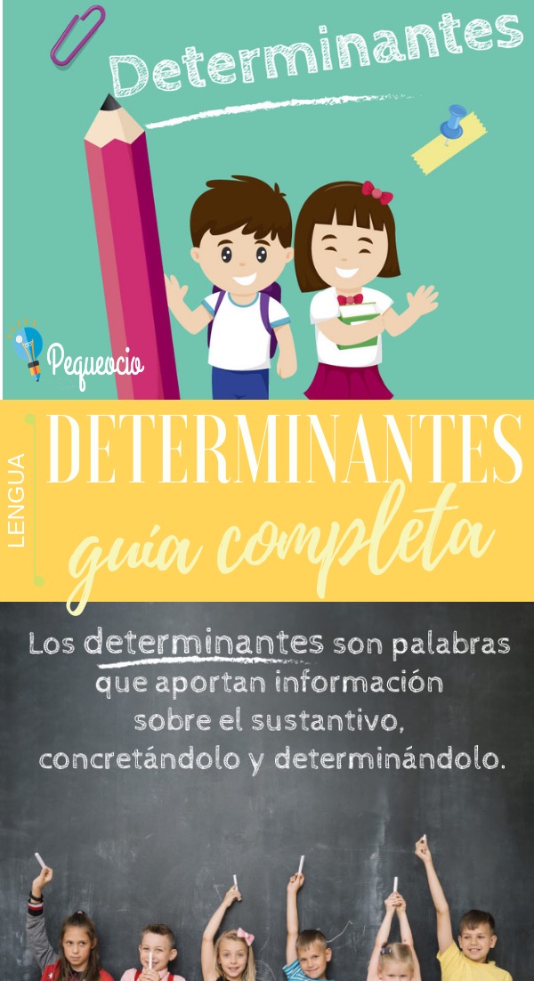 Qué Son Y Para Qué Sirven Los Determinantes