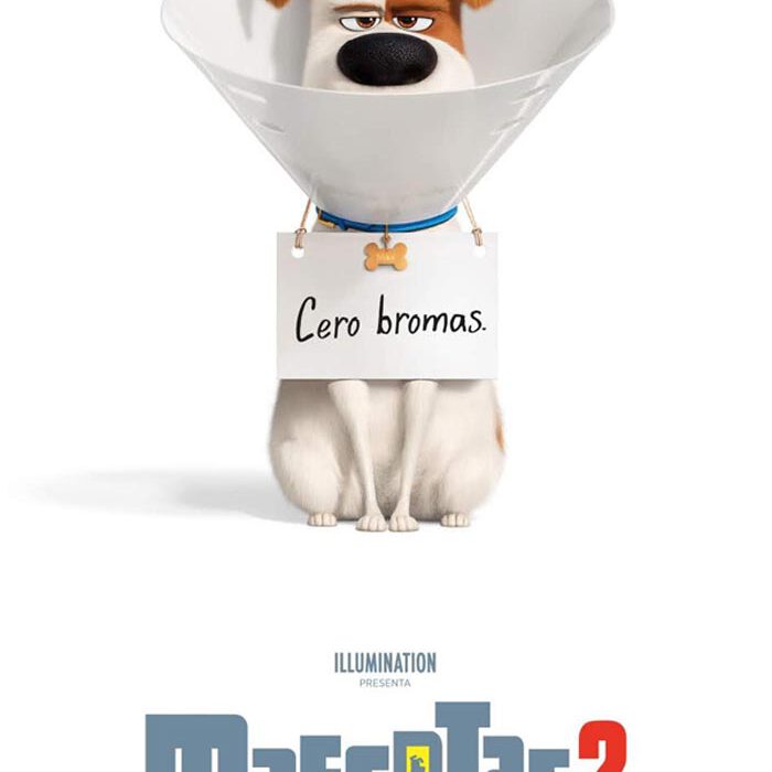 Mascotas 2