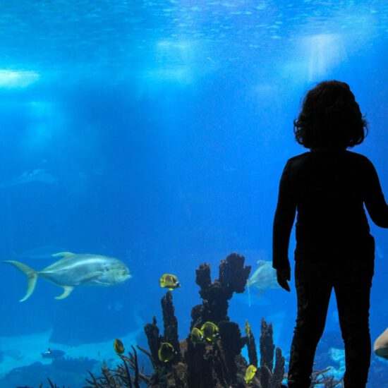 Acuario de Lisboa