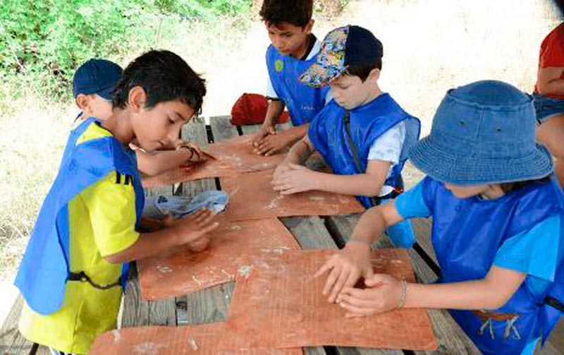 Campamento de Verano del Museo de Ciencias Naturales de Madrid