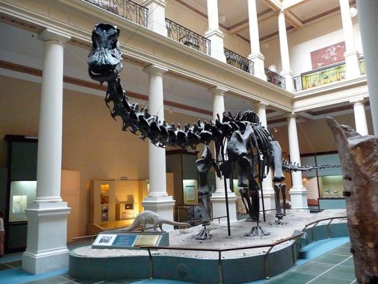 Museo de Ciencias Naturales Madrid