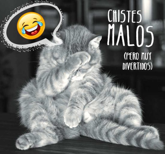 chistes malos
