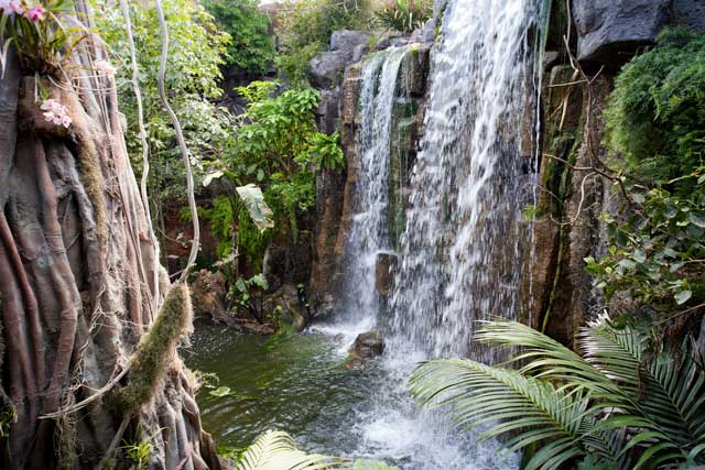 Palma Aquarium La Jungla