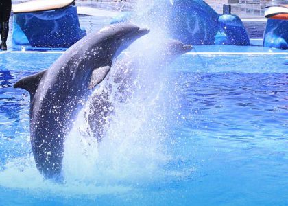 Marineland Mallorca