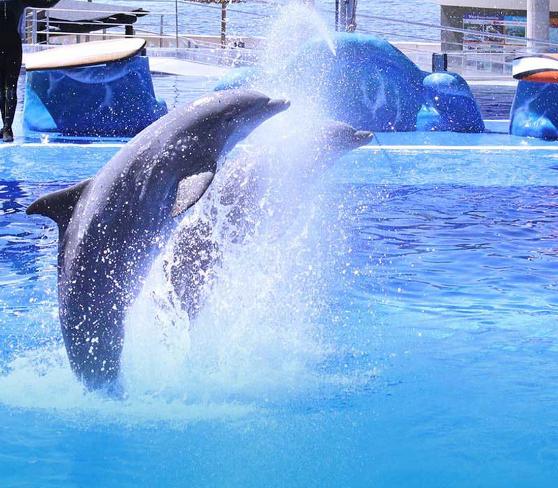 Marineland Mallorca
