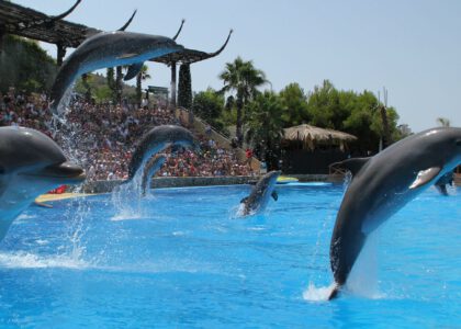 Mundomar Benidorm Entradas