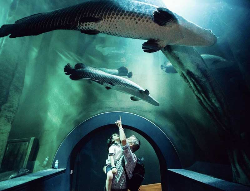 Acuario de Zaragoza
