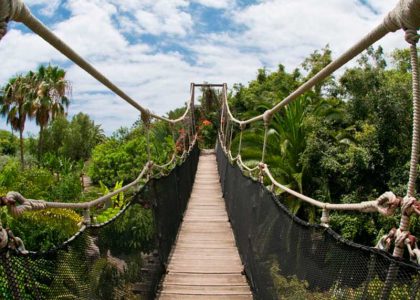 Jungle Park Tenerife