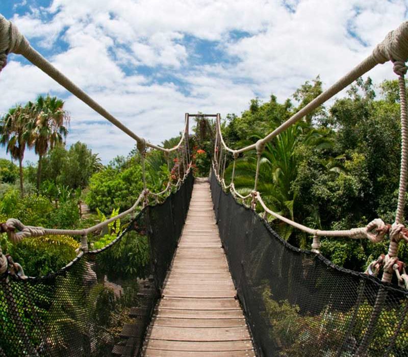 Jungle Park Tenerife