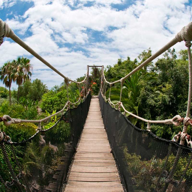 Jungle Park Tenerife