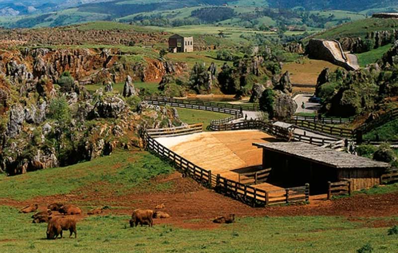 Parque de Cabarceno entradas