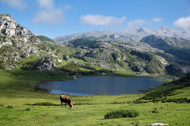 Clima De Montaña