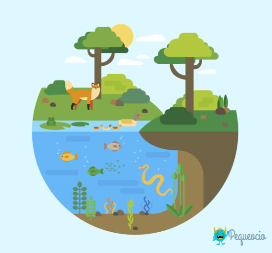 Tipos de ecosistemas