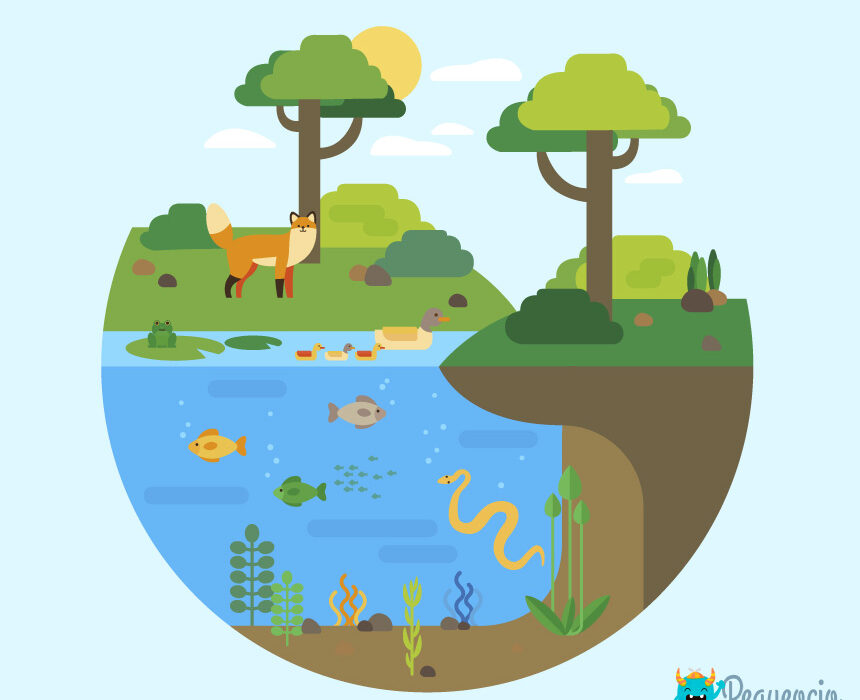  Ecosistema  definición y tipos de ecosistemas