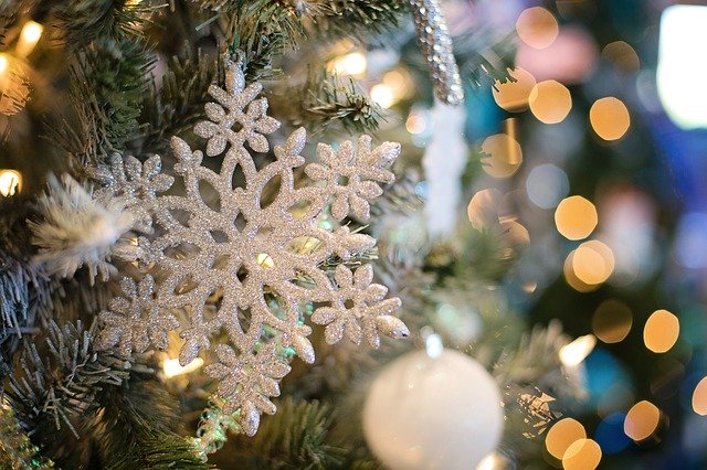 árboles de Navidad en blanco