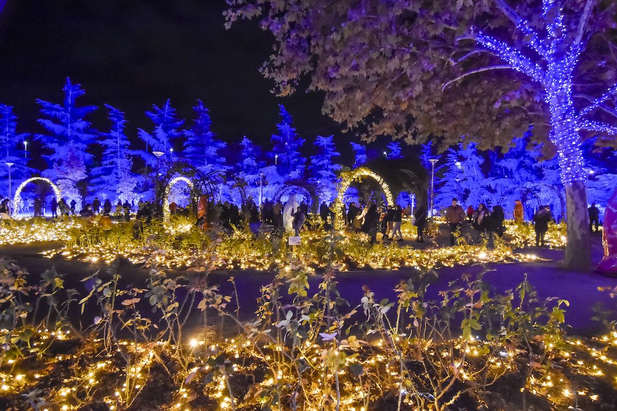 Mágicas Navidades Torrejón Entradas