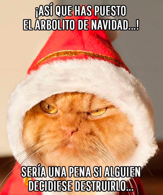 Chistes Navidad Whatsapp