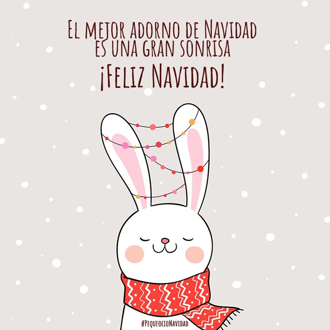 Frases de navidad cortas y bonitas