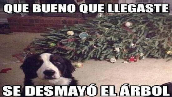 Memes De Navidad