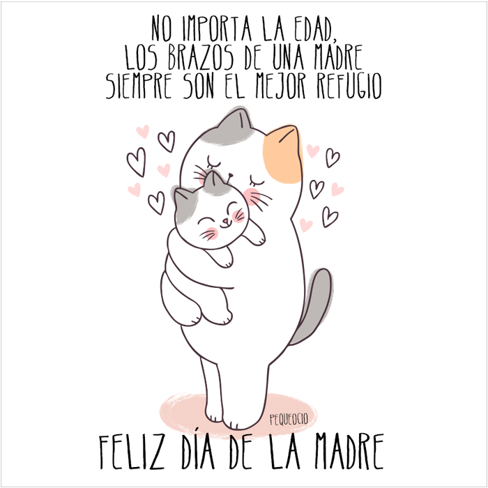 Dia De La Madre Imagenes Dedicatorias Whatsapp