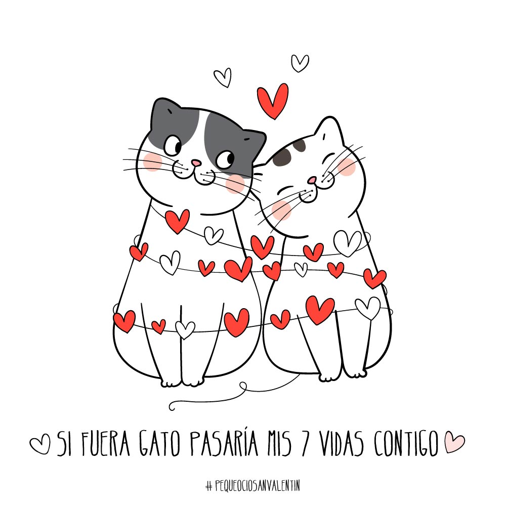 Frases de SAN VALENTÍN (felicitaciones bonitas para tu amor) - Pequeocio