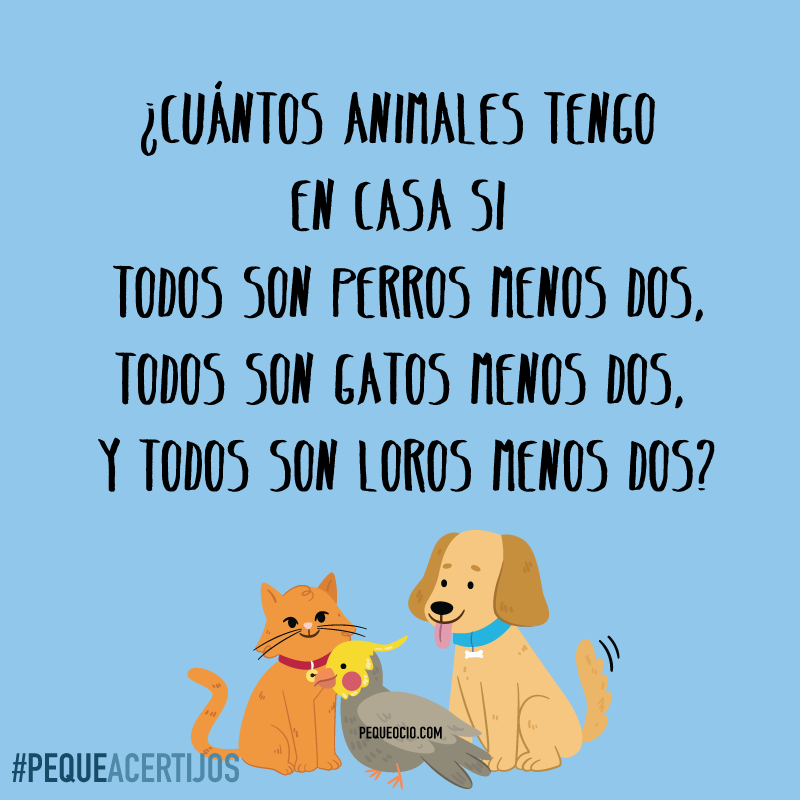 Acertijo Perro Gato Loro