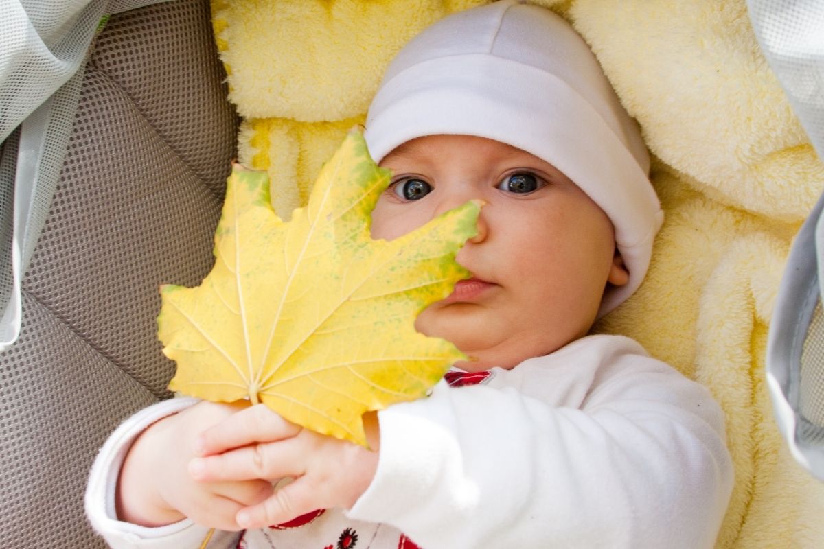 Paseos A Los Bebés En Otoño