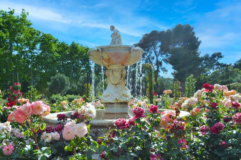 La Rosaleda Retiro Madrid Con Niños